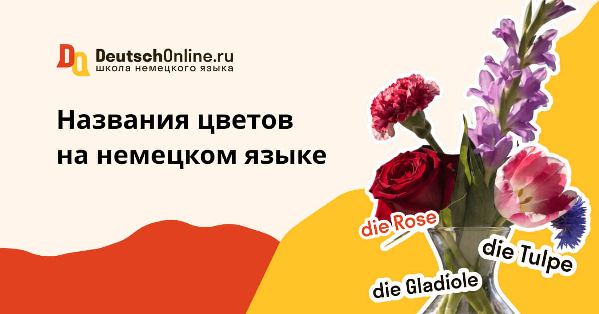 цветок на немецком