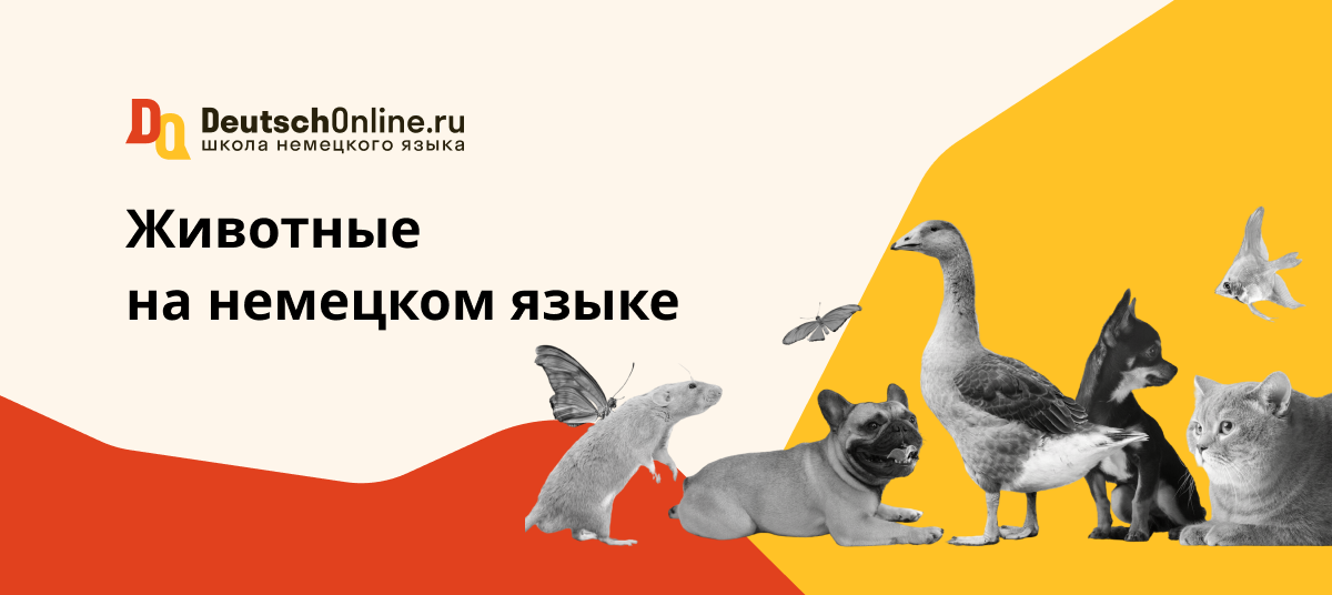 животные на немецком